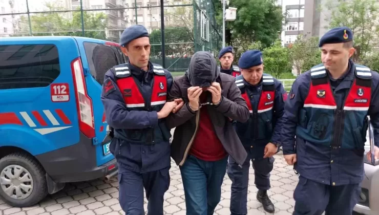 Samsun’da Uyuşturucu Tarlası: 5. Katta Kenevir Yetiştirdi