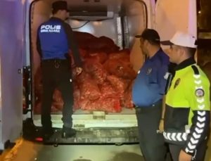 Samsun’da 2.9 Ton Kaçak Midyeye El Konuldu: Sürücü ve Avcıya Ceza Yağdı